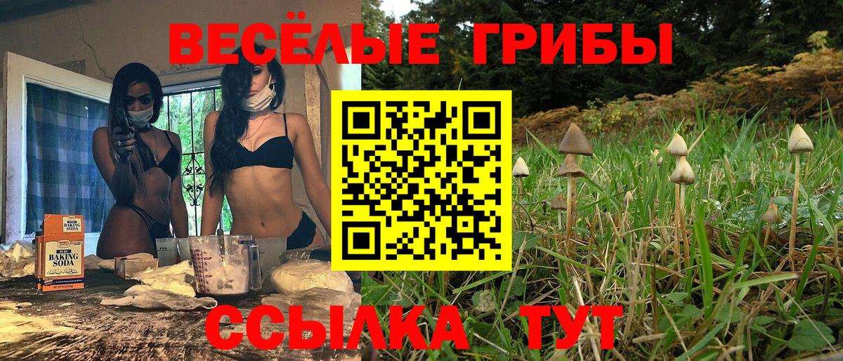 наркошоп  Галлюциногенные грибы Psilocybe  Вход с VPN  Алейск  Псилоцибиновые грибы MAGIC MUSHROOMS 